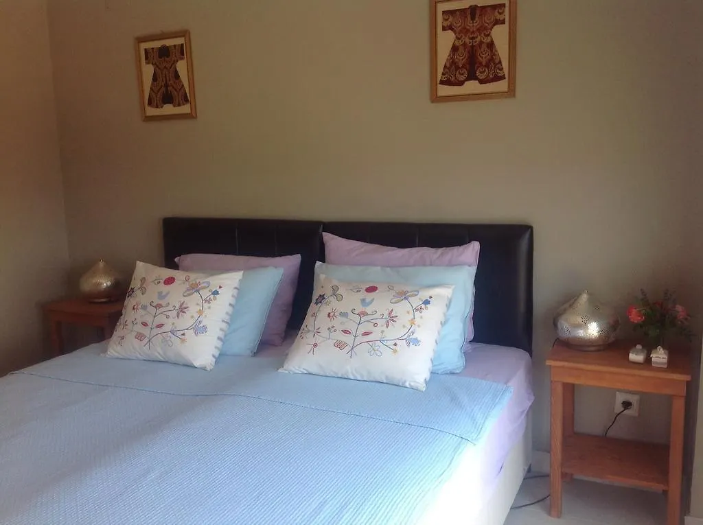 Meyveli Ev Pension Karadere  0*, Karadere (Aegean)