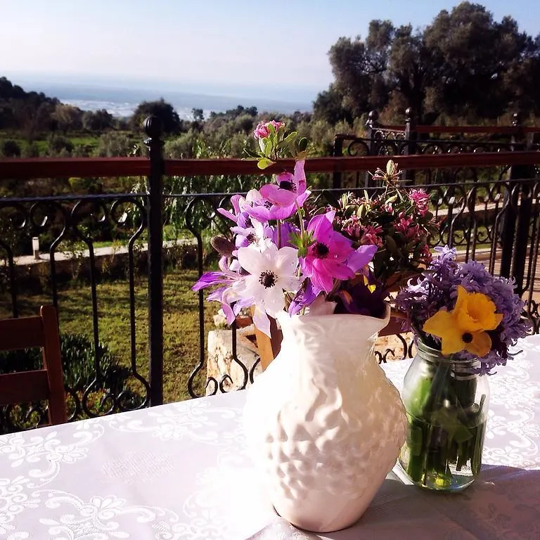 Meyveli Ev Pension Karadere  Gasthof Karadere (Aegean)