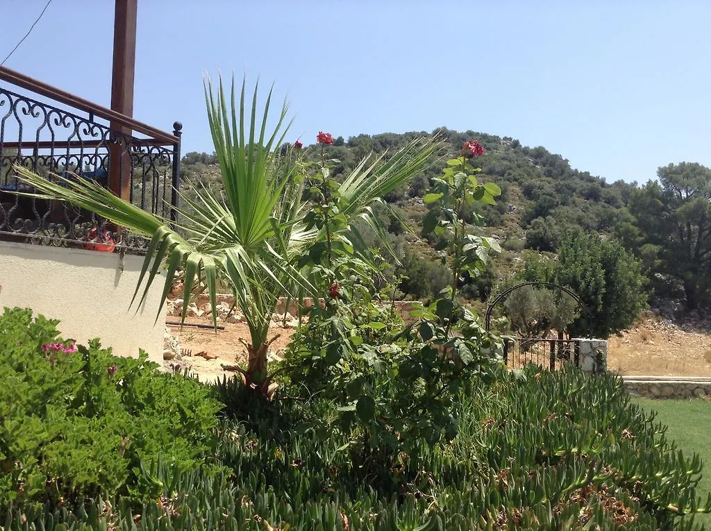 Meyveli Ev Pension Karadere  0*, Karadere (Aegean)