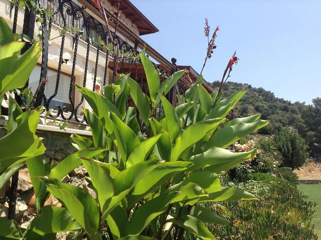 Meyveli Ev Pension Karadere  Gasthof